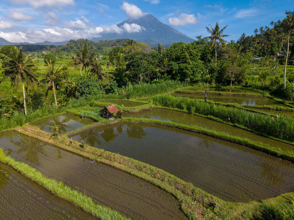 Bali