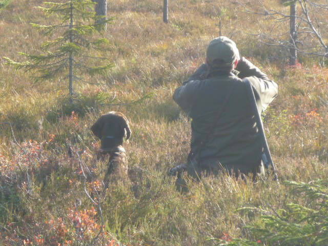 Jagdurlaub Schweden