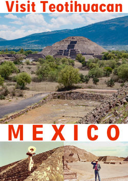 Travel Agent Poster