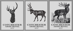 EXT Pub Signage options