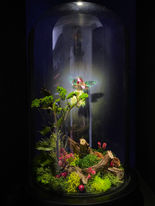 holographic fairy inside bell jar 