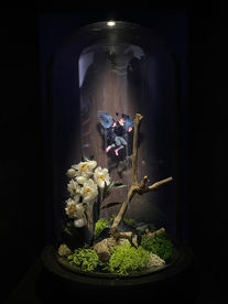 holographic fairy inside bell jar