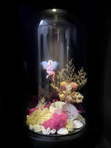 holographic fairy inside bell jar 