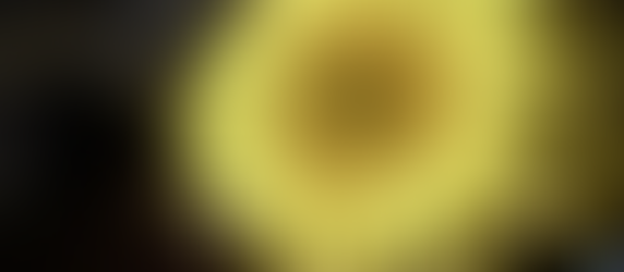 January 2023: Botanica - "this stunning work" (Time Out)