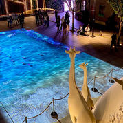 Two Giraffes Gaze at "Dior Riviera Zhangyuan" by Studio McGuire: 
 A mesmerizing art installation that transforms the area outside the store into an enchanting underwater paradise using video projection mapping. Created by Davy and Kristin McGuire, this immersive experience animates Dior's iconic Toile de Jouy animals in a vibrant aquatic setting. Showcased at Dior's Zhangyuan Shanghai, this captivating installation seamlessly blends art and technology, bringing Dior's heritage to life. Created by Davy and Kristin McGuire