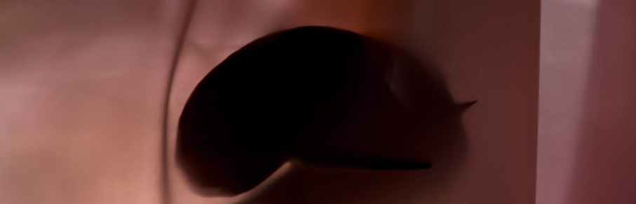 The Olfactory.png