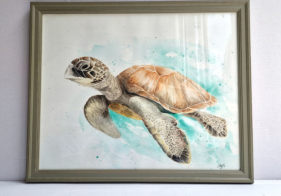 Thumbnail: “Drift” – Original Watercolour Turtle Artwork