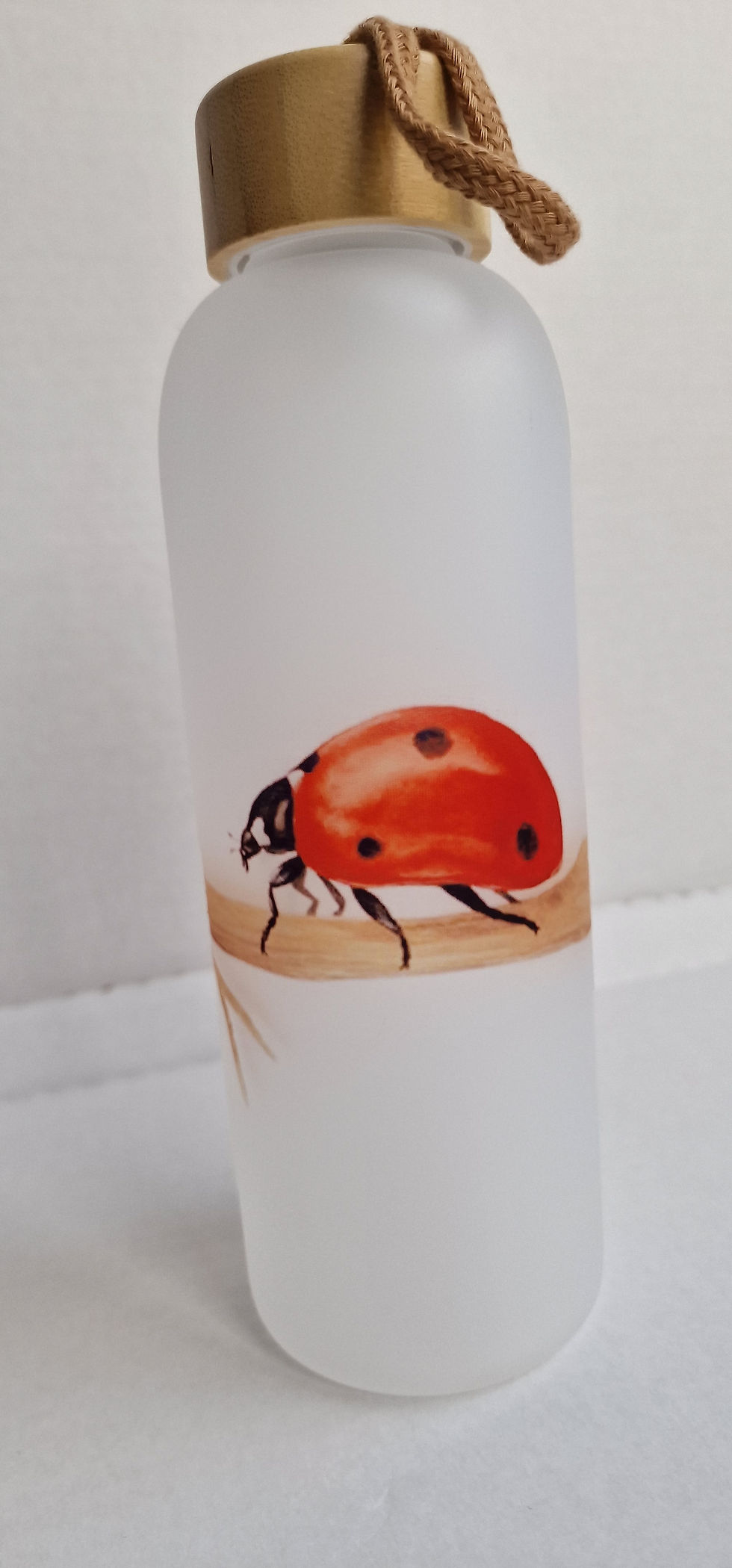 Thumbnail: Ladybird Water Bottle with Bamboo screw lid
