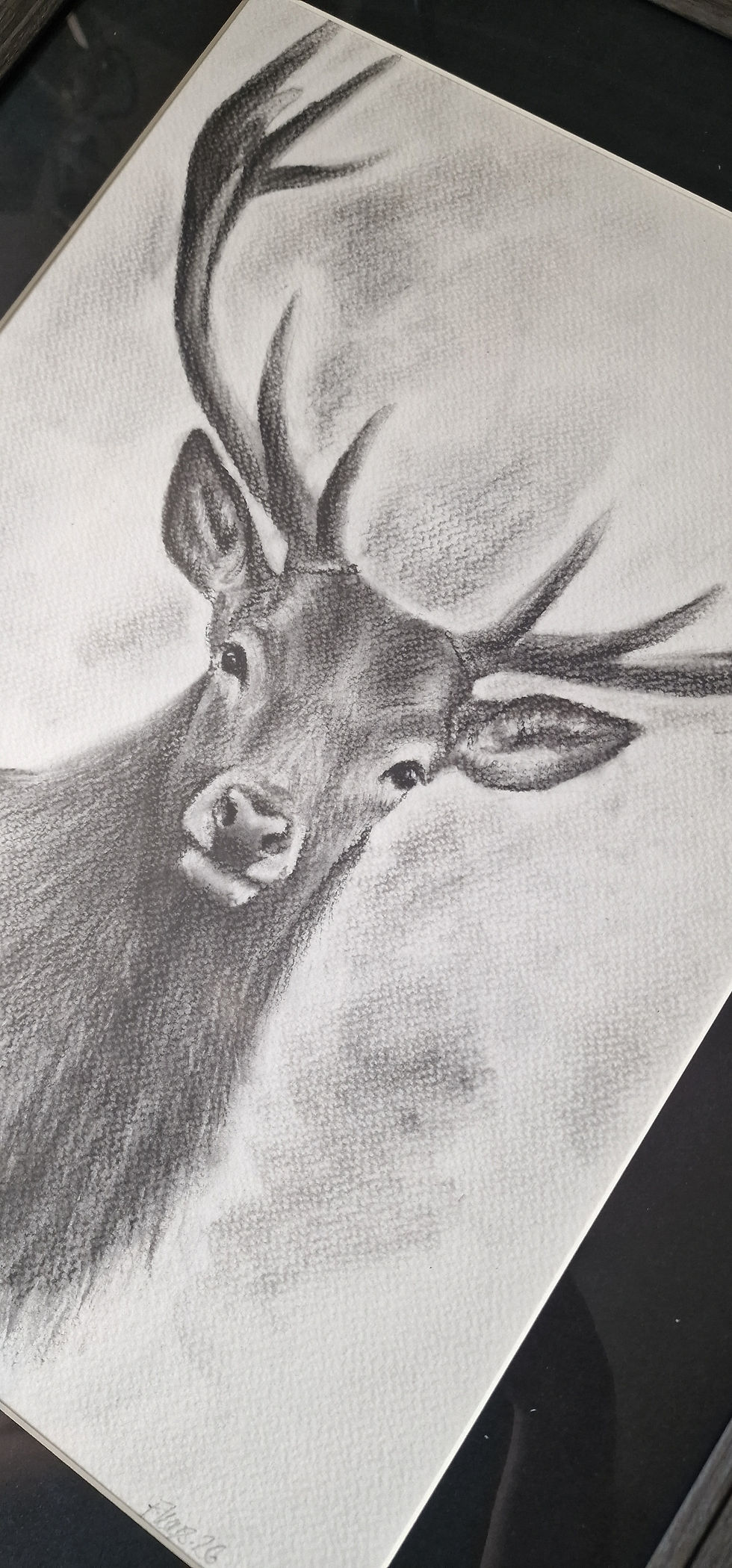 Thumbnail: Majesty – Original Stag Drawing
