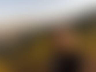 O que é Storytelling e como usar essa técnica para engajar sua audiência?