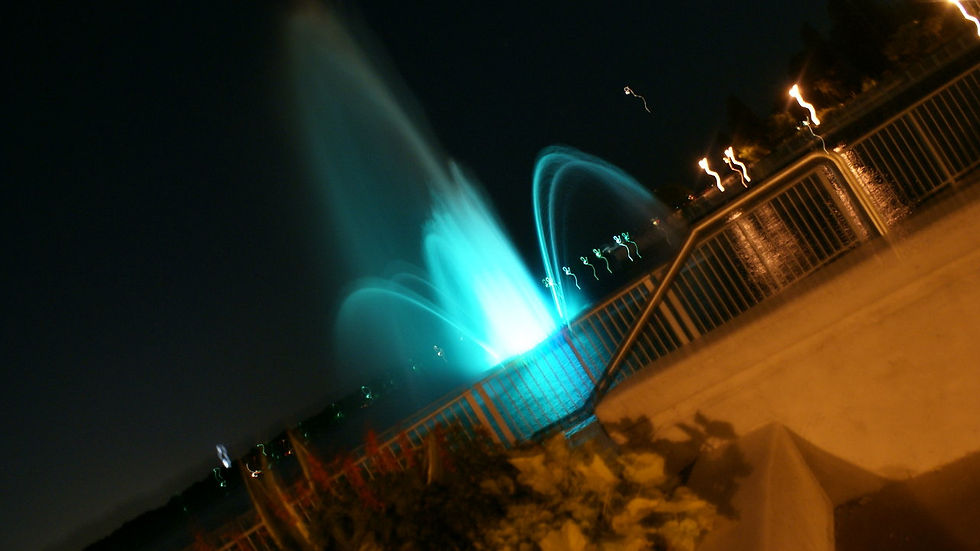 aug 2010 029