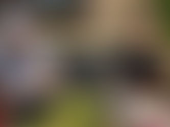 Is It Worth It to Let Tenants Keep Pets?