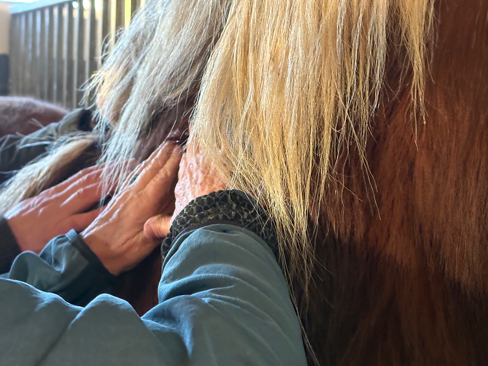 Treating post founder scar tissue