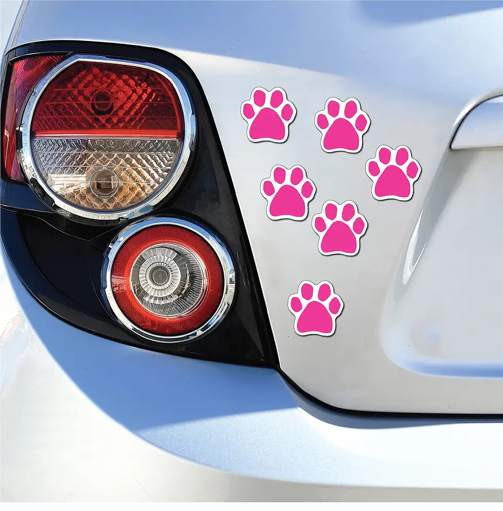 Thumbnail: Mini Paw Magnets