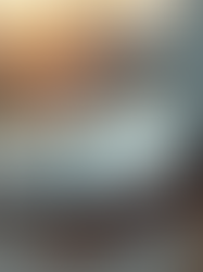 Essential Tools for Successful Mobile Blogging