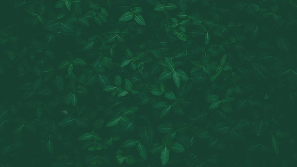 Miniatura: MASCARA DE CABELLO. 4.FL.OZ