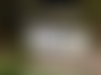 Concert Series Performer Applications