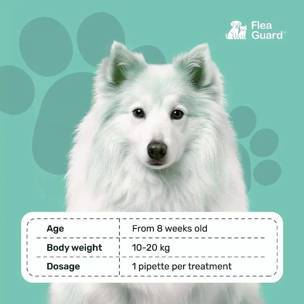 Thumbnail: Flea Guard Spot-On for Medium Dogs (10–20kg)