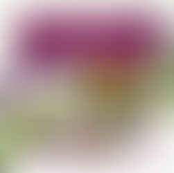 Dietary Supplements: Debunking 7 major myths