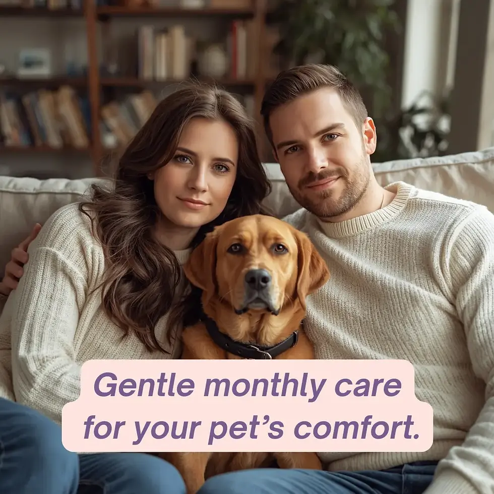 Thumbnail: Flea Guard Spot-On for Large Dogs (20–40kg)