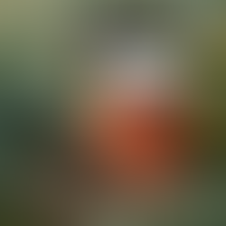 Bitter Love trufas herbales para limpieza digestiva con ajenjo amargo concentrado