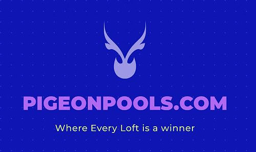 pigeonpool logo.JPG