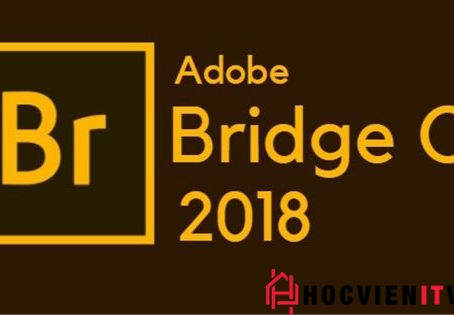 [Download] Adobe Bridge CC 2018 v8.0 Full Crack 2022