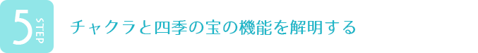 チャクラと四季の宝の機能を解明する