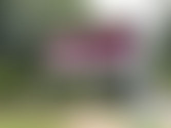 Technology Services Holds “13 Days of Cybersecurity Events”