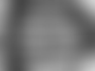 Volunteering Opportunities for Students