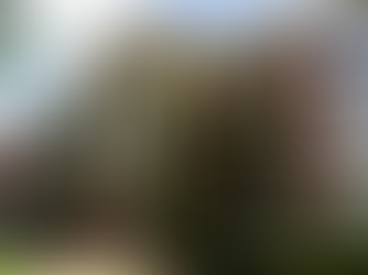Letter to the Editor: Residence Life