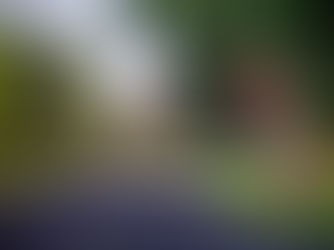 Meredith College Changes COVID-19 Policies