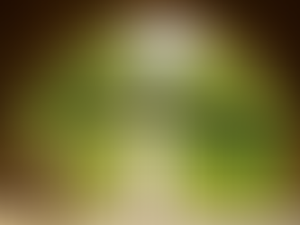 Students Respond to Meredith's Vaccine Policies