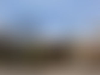 Hillsborough Street Restaurant Recommendations Courtesy of The Herald Staff