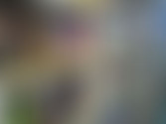 Meredith Community Discusses Banned Books Controversy