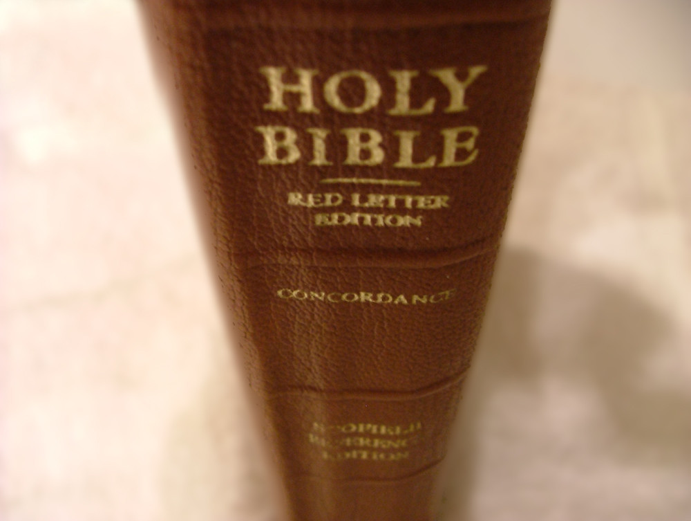 The spine of a Holy Bible