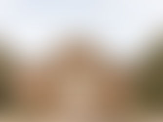 Exploring the Administration Response Process