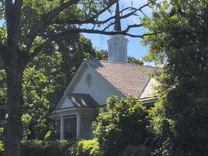 Kappa Omicron Nu Holds Daisy Trade Food Drive