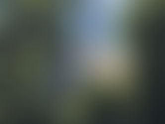 Kappa Omicron Nu Holds Daisy Trade Food Drive