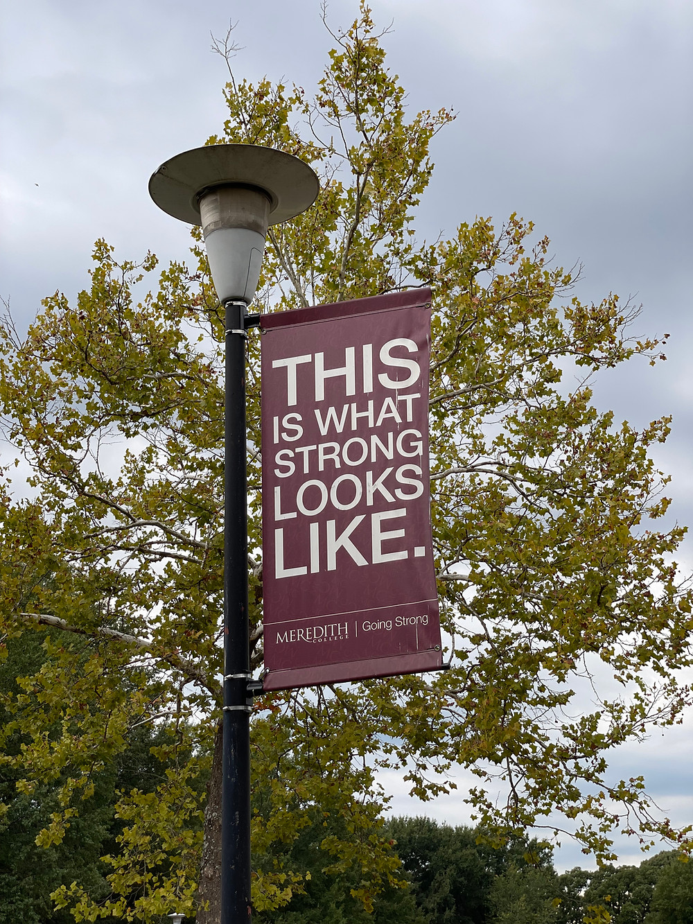 A flag with "This is what strong looks like"