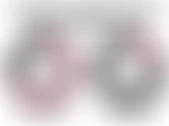 Budget Battles: Students Want More