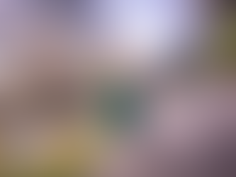 Opinion: What Needs to Change about Cornhuskin'