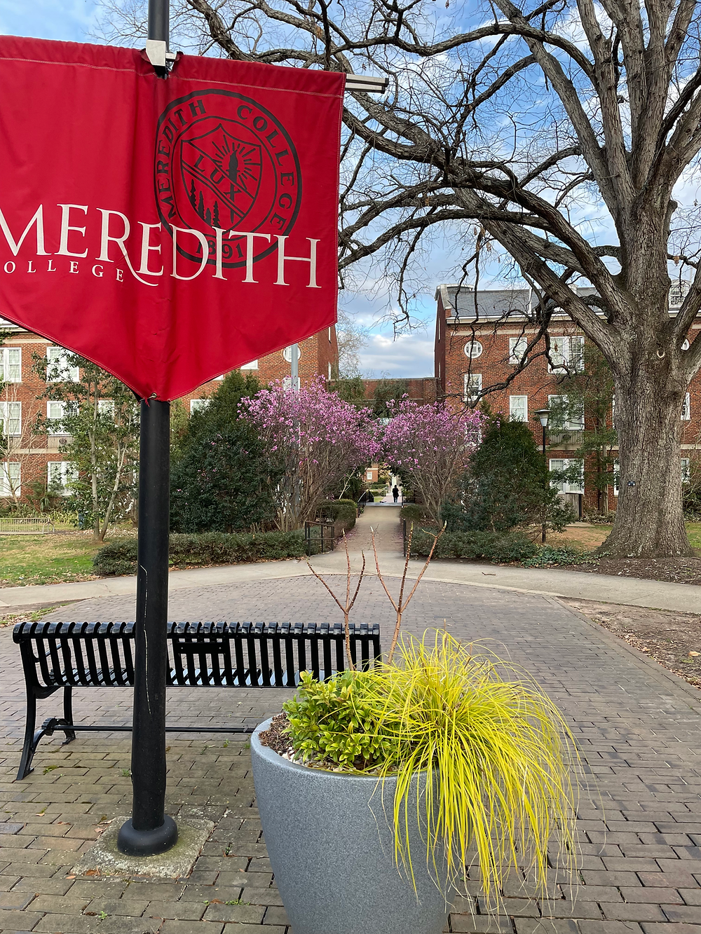 A red flag with the words "Meredith College" and the Meredith Lux logo