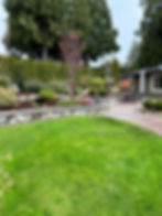 Roots by Ross Yard Maintenance & Services photo 4