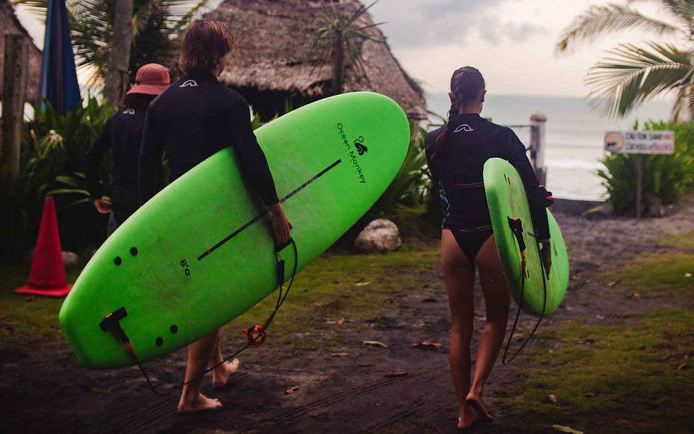 Group of beginner surfers walking to the ocean with surfboards for surfing in Panama