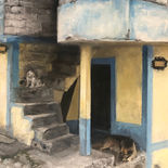 IMG_1335.jpeg