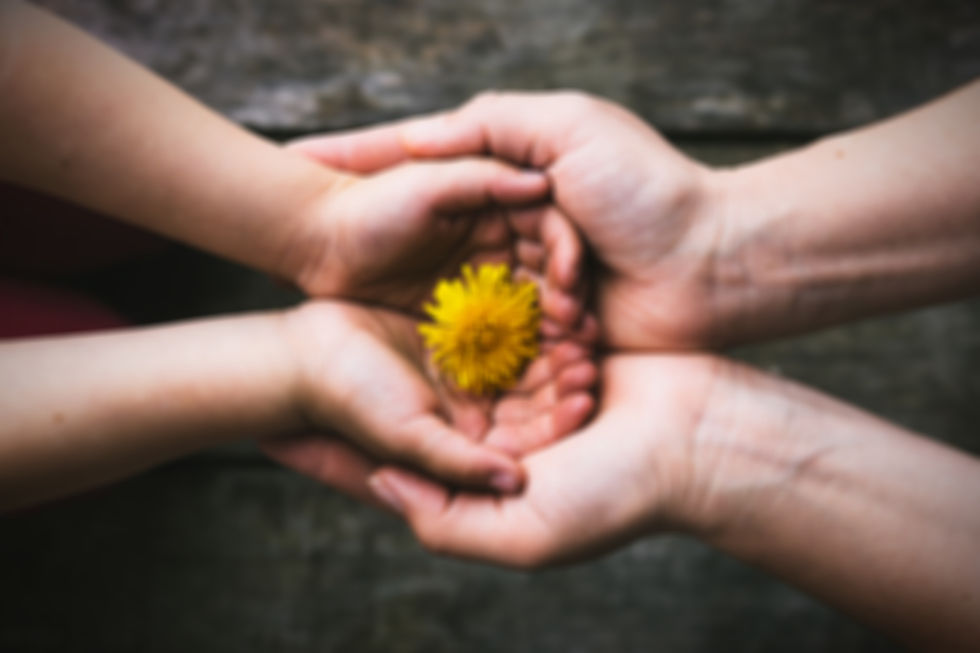 parent-and-child-hands-handing-flowers-2023-11-27-04-58-18-utc_edited.jpg