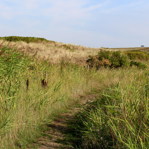 Dünenwanderung
