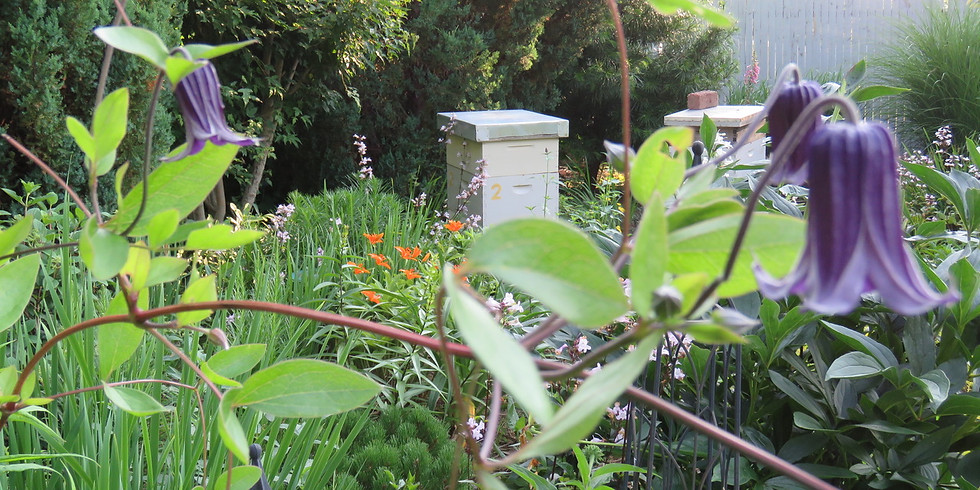 June Blooms
