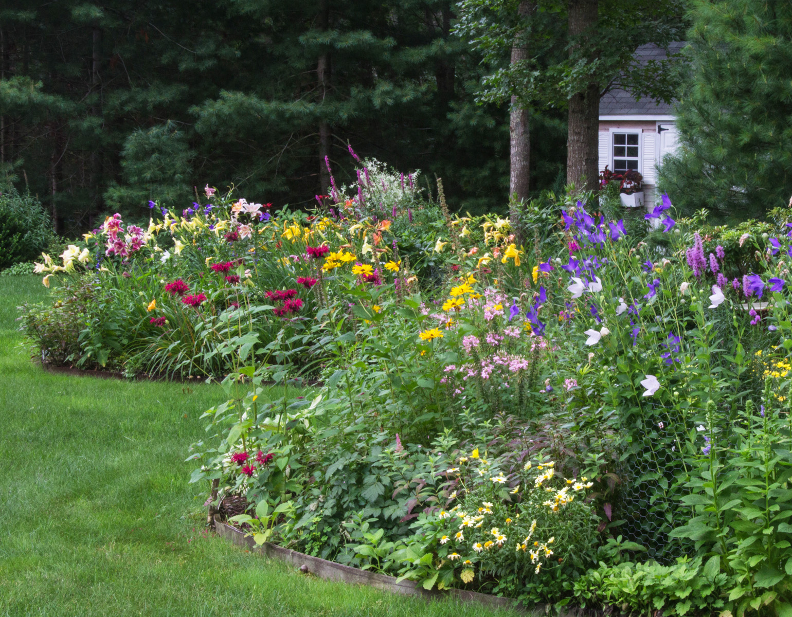 June Blooms Garden Tour